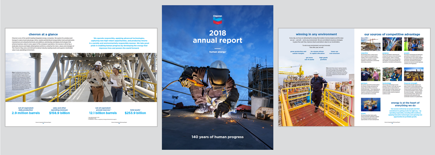 AnnualReport